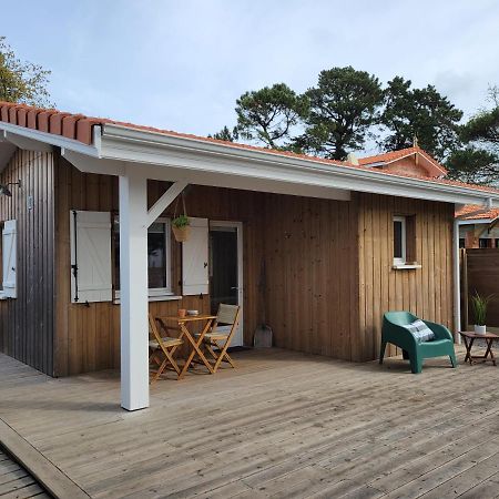 La Cabane De L'Estran Au Bord De Mer ラントン エクステリア 写真